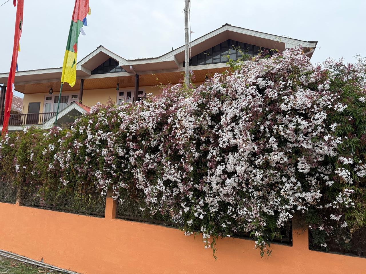 Front view of Martam Village Homestay